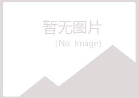 甘洛县小夏能源有限公司